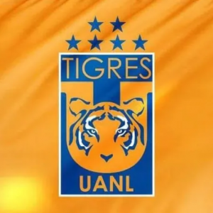 los tigres soccer